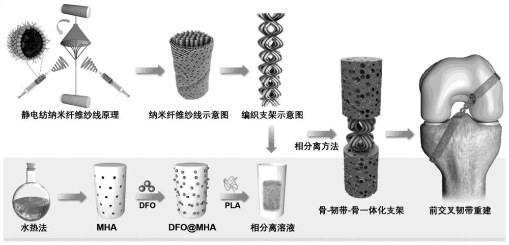 Bone-ligament-bone integrated stent and preparation method thereof