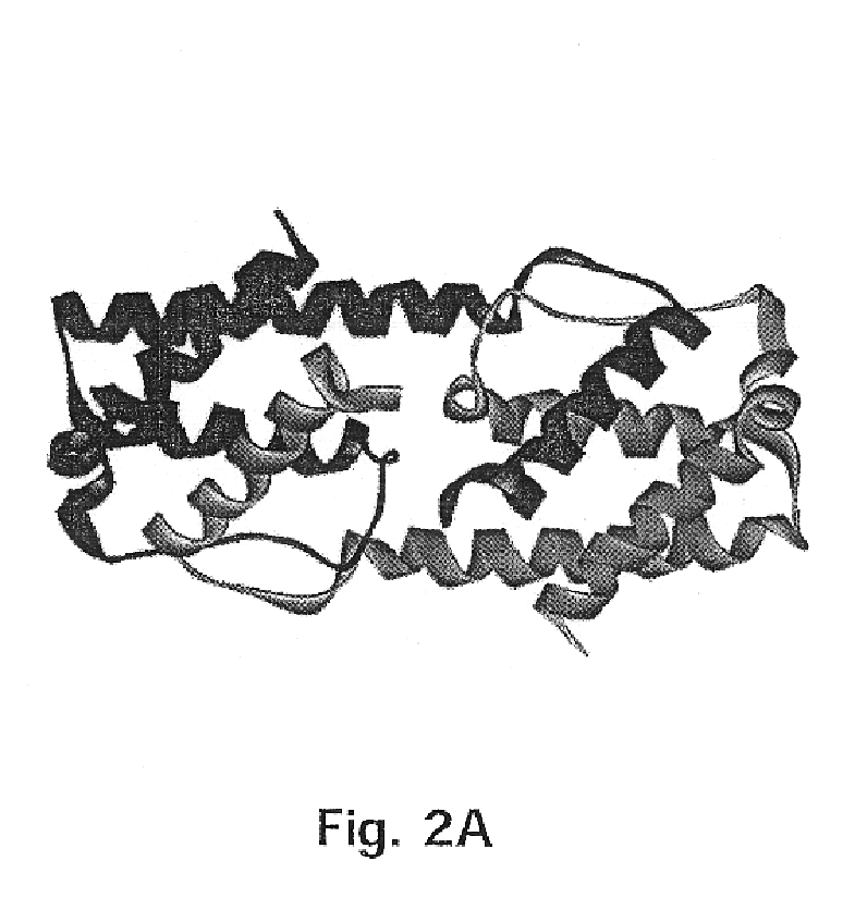 Method for down-regulating IL5 activity