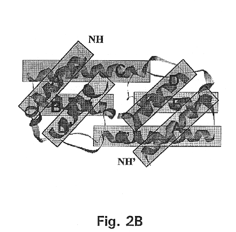 Method for down-regulating IL5 activity