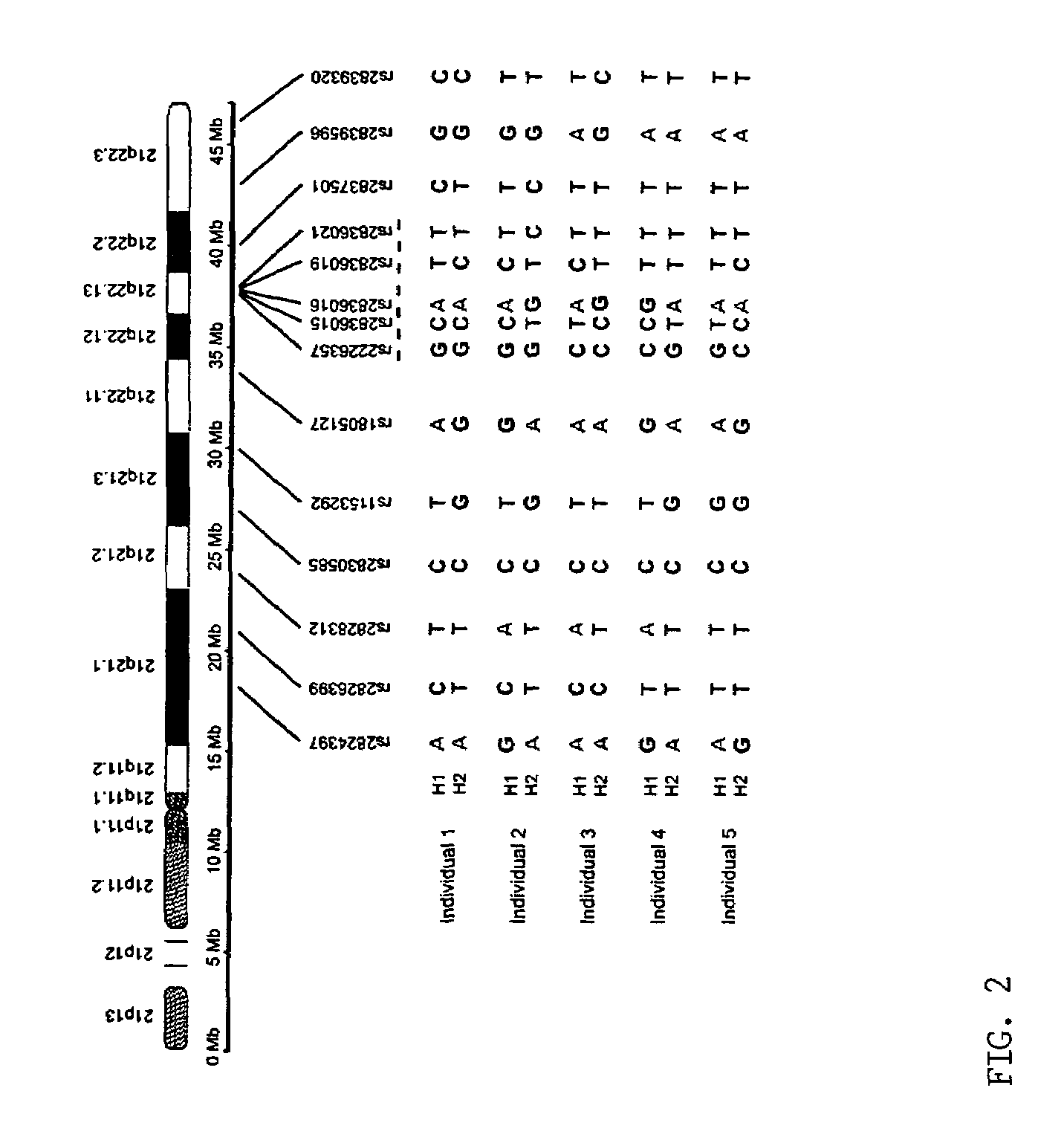 Microdissection-based methods for determining genomic features of single chromosomes