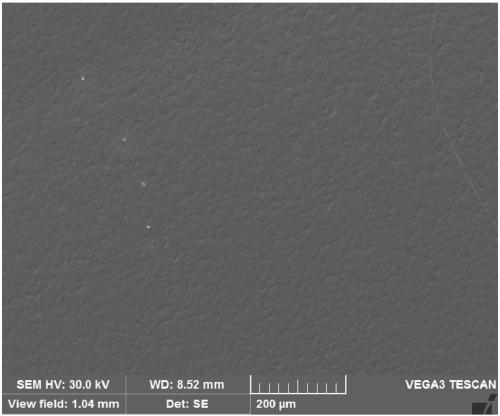 Additive for electrolytic copper foils and application thereof, electrolytic copper foil and preparation method and application thereof, and lithium ion battery