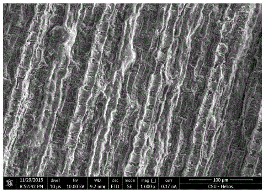 Preparation method of leafy biomass pyrolytic carbon counter electrode for dye-sensitized solar cell