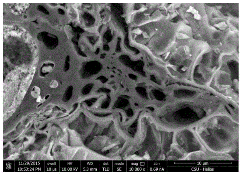 Preparation method of leafy biomass pyrolytic carbon counter electrode for dye-sensitized solar cell