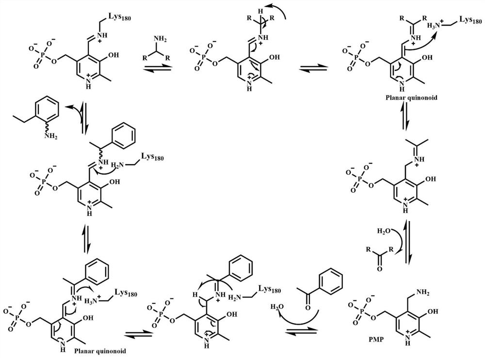 Omega-transaminase mutant obtained through DNA synthesis shuffling combination mutation and application