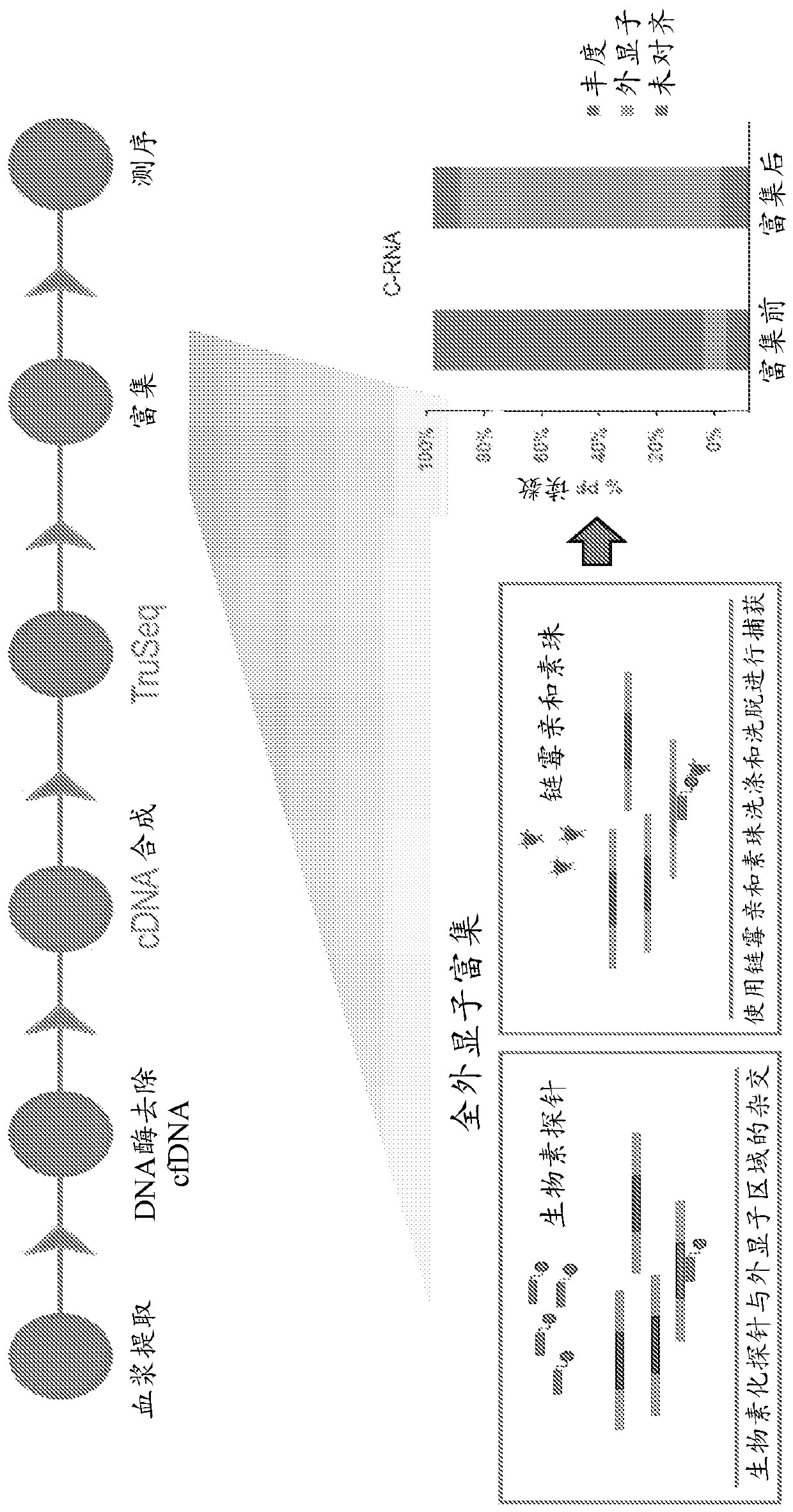 Circulating RNA signatures specific to preeclampsia