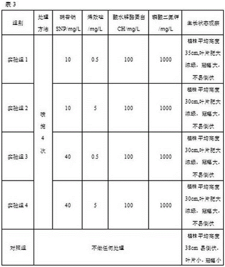 Greenhouse accelerated culture method for colored zantedeschia in northwest region