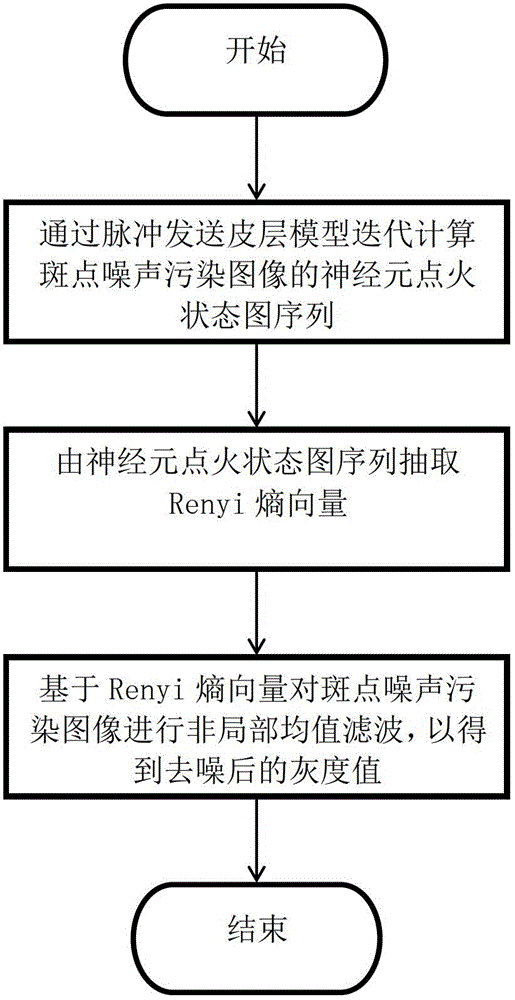 Non-local means filtering method for speckle noise pollution image