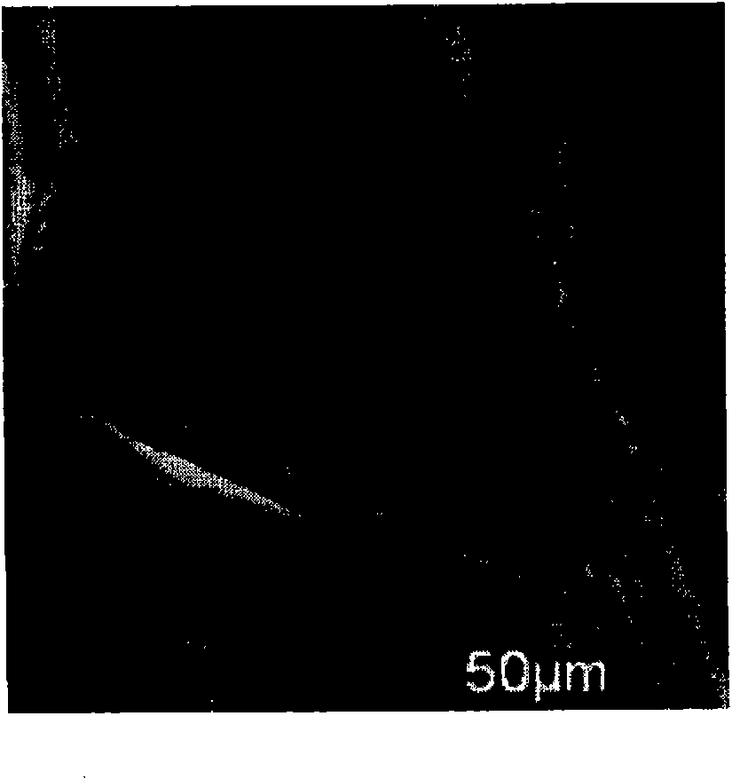 Enzyme immobilized electrode, fuel cell, electronic equipment, enzyme reaction utilization apparatus, and enzyme immobilized base