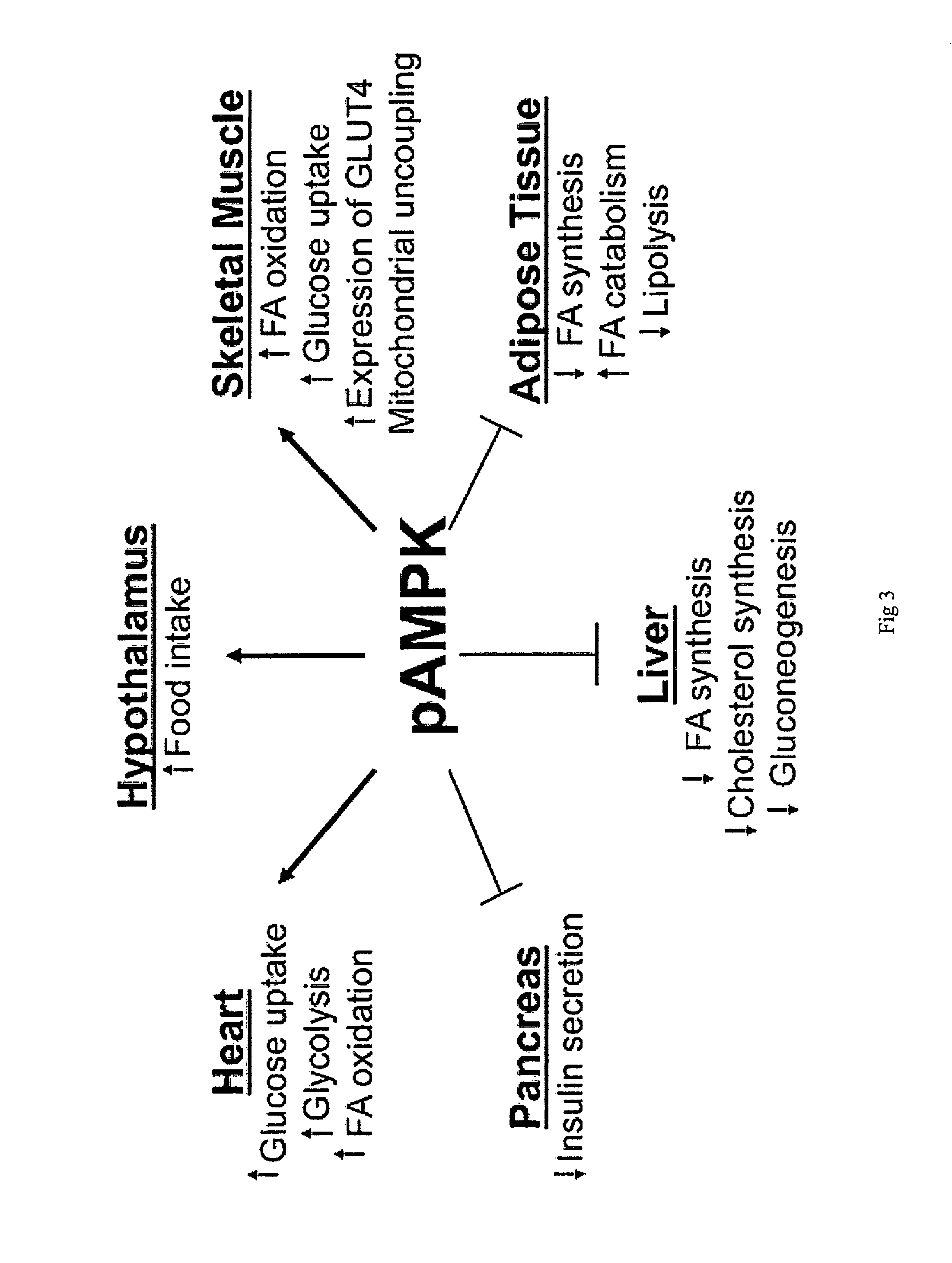 Compositions from <i>Nigella sativa</i>