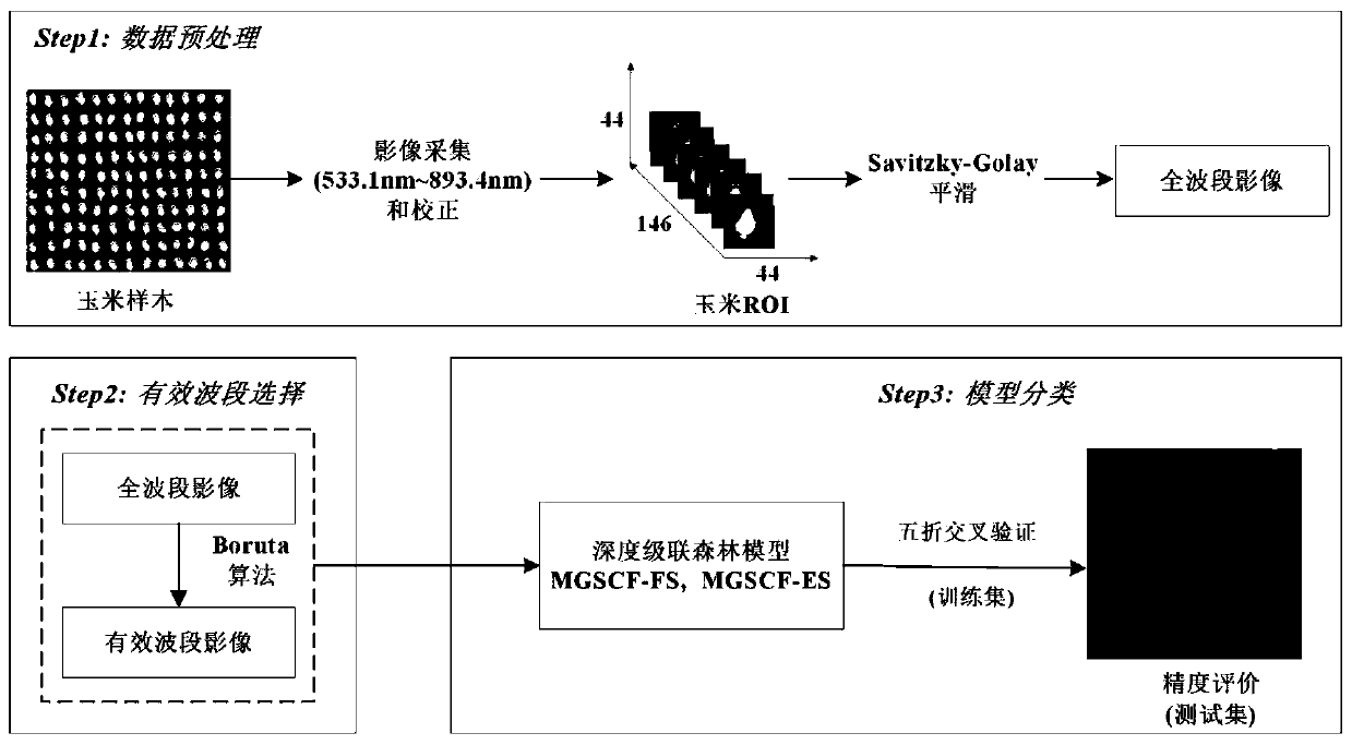 Maize variety identification method based on deep-cascaded forest and hyperspectral image