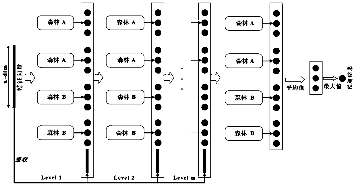 Maize variety identification method based on deep-cascaded forest and hyperspectral image