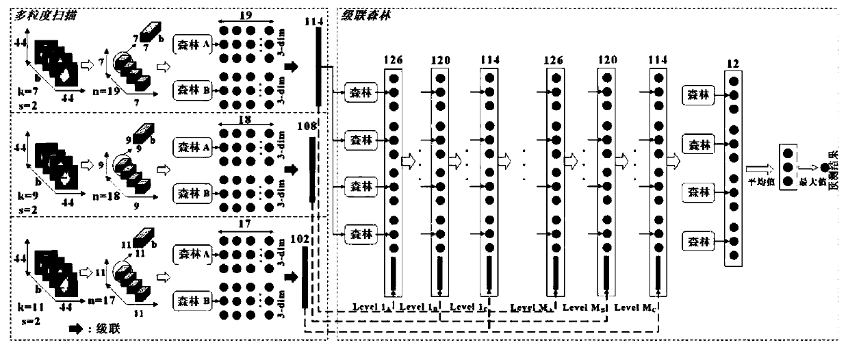 Maize variety identification method based on deep-cascaded forest and hyperspectral image