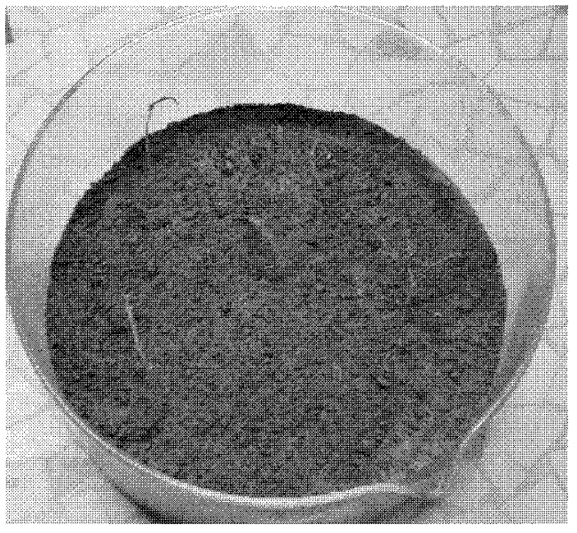 Waterborne polyurethane sand-fixing agent and preparation method thereof