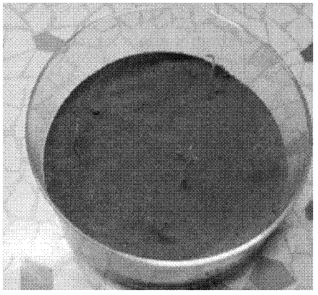 Waterborne polyurethane sand-fixing agent and preparation method thereof