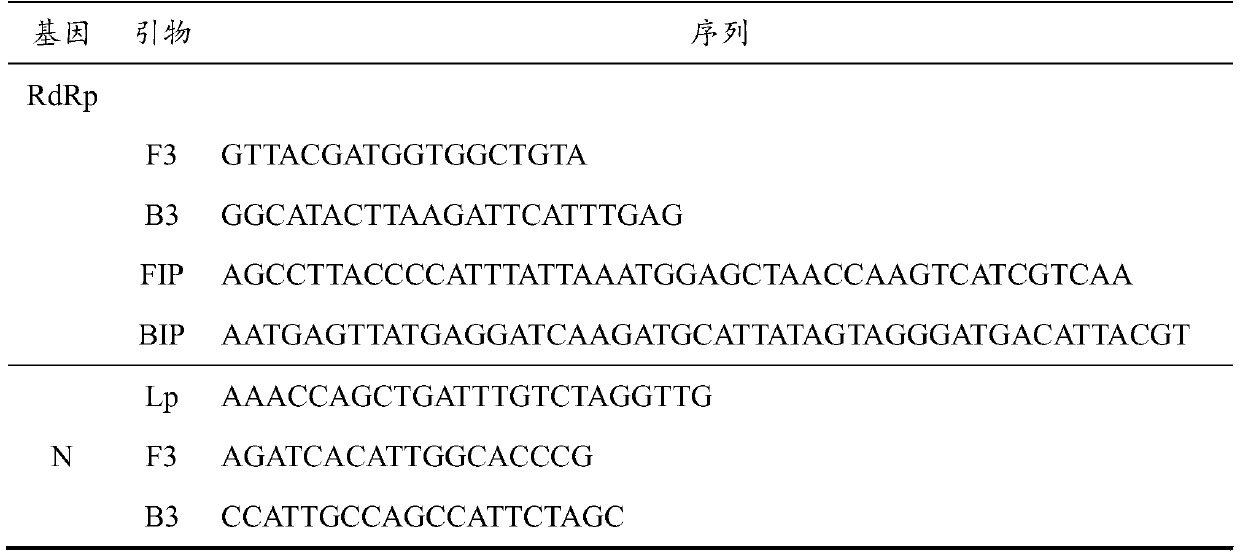 Loop-mediated isothermal amplification detection primer set, reagent kit and method for SARS-CoV-2