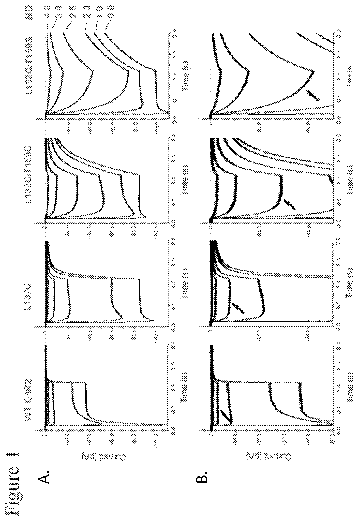 Identification of channelrhodopsin-2 (ChR2) mutations and methods of use