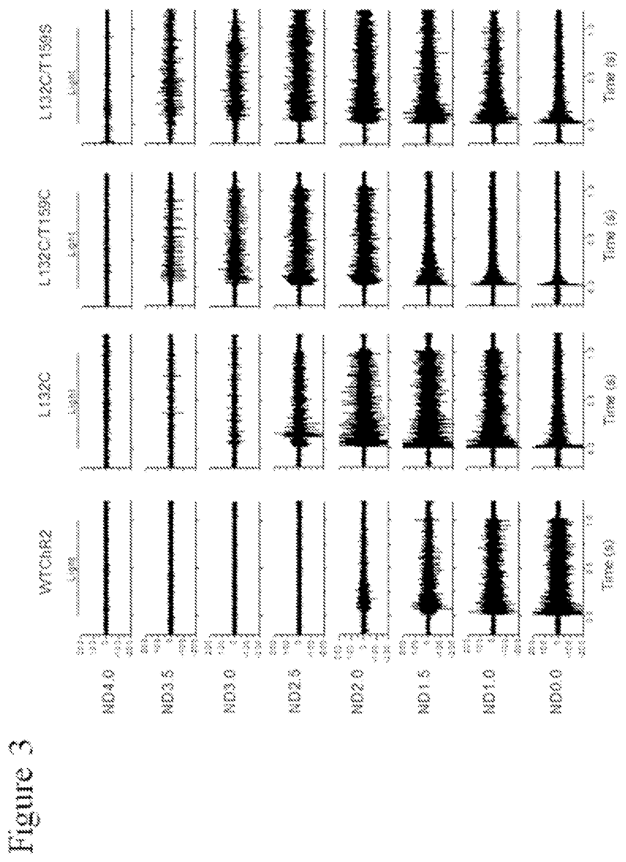 Identification of channelrhodopsin-2 (ChR2) mutations and methods of use