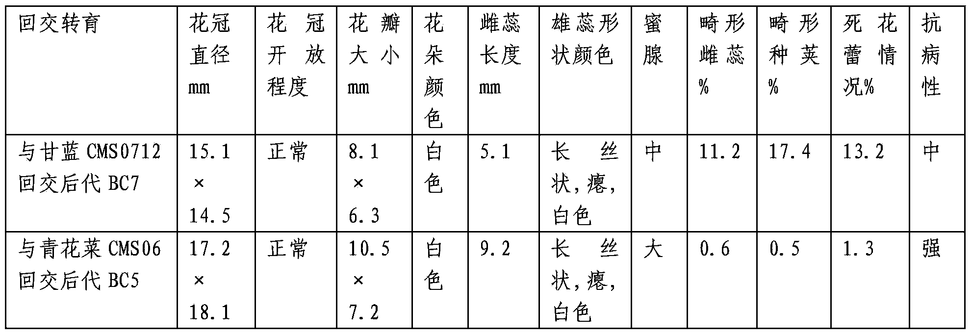 Method for transforming sterile line of Chinese kale by utilizing vernalization and generation adding