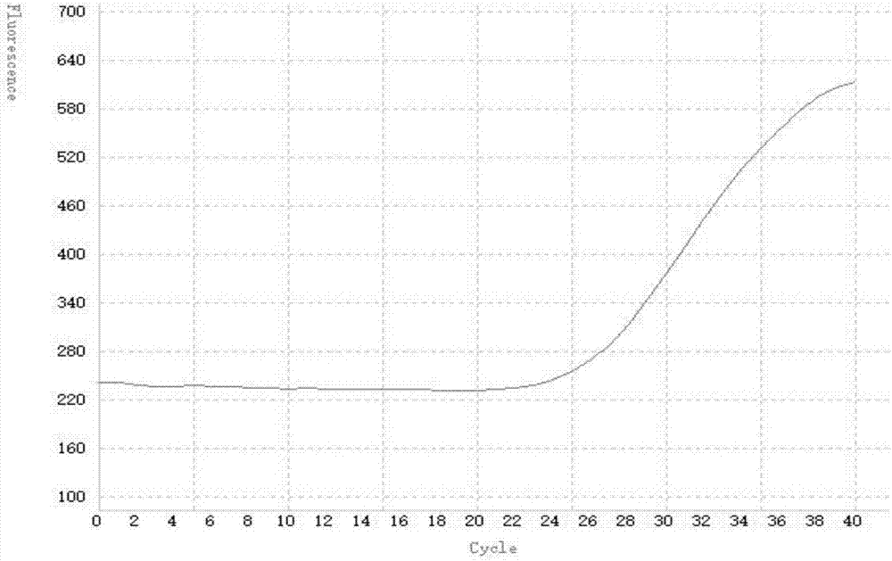 Group-A rotavirus rapid real-time fluorescent RT-PCR (reverse transcription-polymerase chain reaction) detection kit