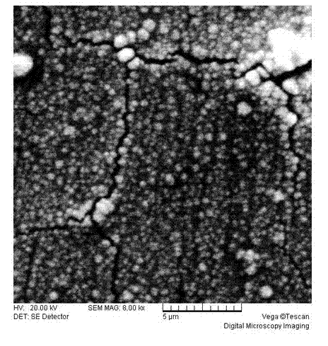 Preparation method of efficient Ni-Mo-P/Ni hydrogen evolution electrode