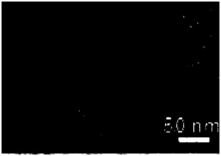 Preparation method of nitrogen-containing porous carbon/manganese dioxide nanowire composite electrode