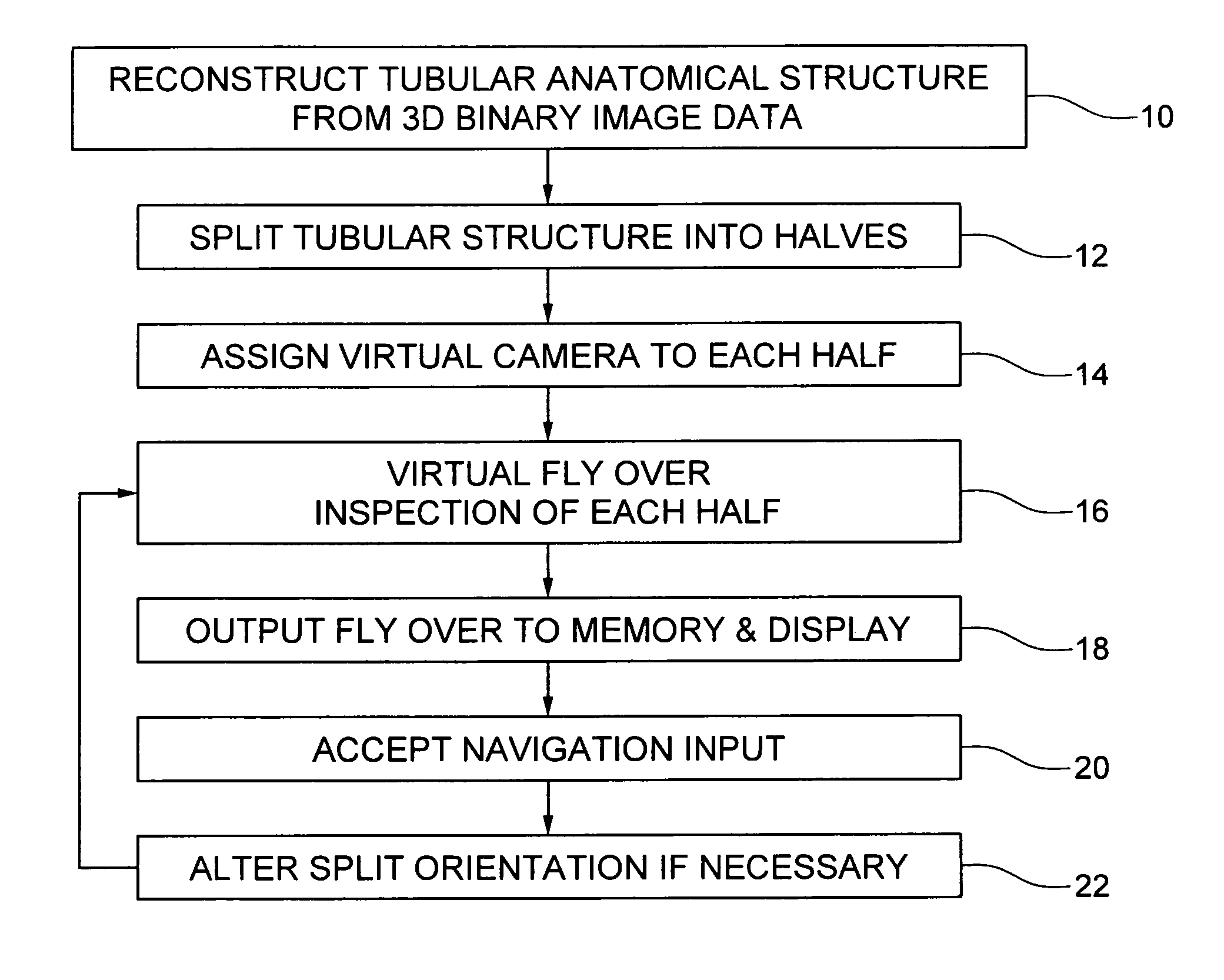 Virtual fly over of complex tubular anatomical structures