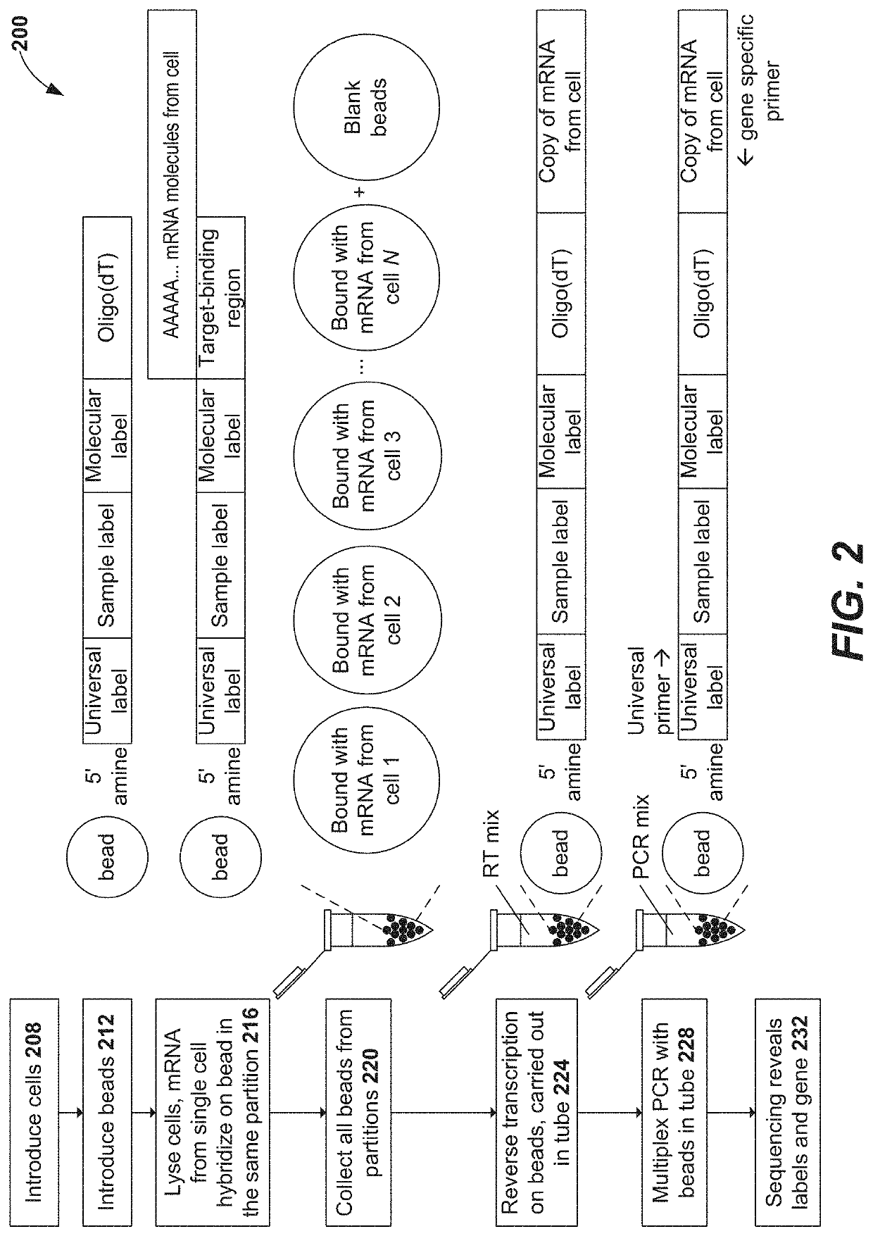 Methods and compositions for single cell secretomics