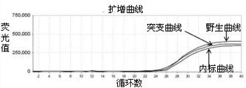 Human HLA-B*5801 gene polymorphism detection kit