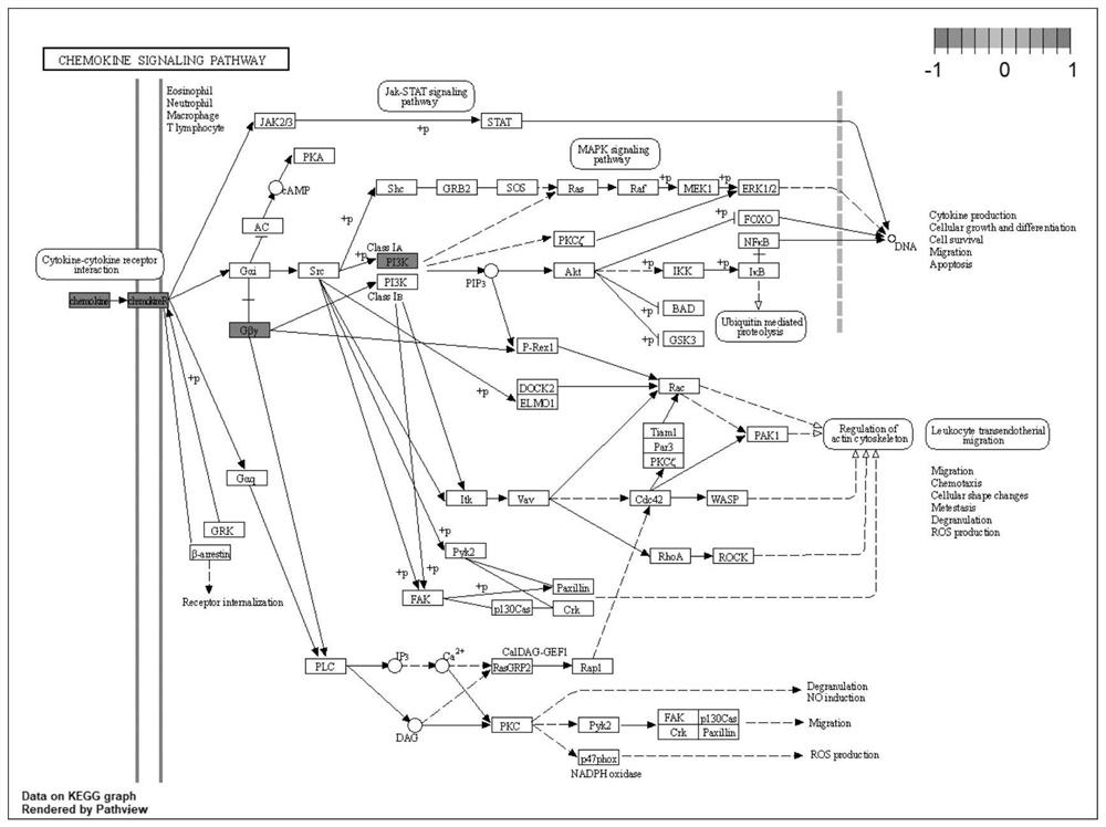 Application of omeprazole in relieving toxic and side effects of tyrosine kinase inhibitor TKIs