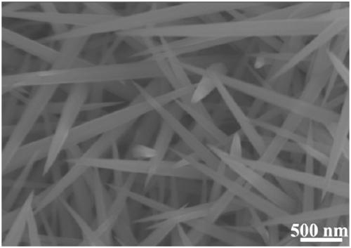 Preparation method and application of multifunctional double-layer nanowire layered composite material