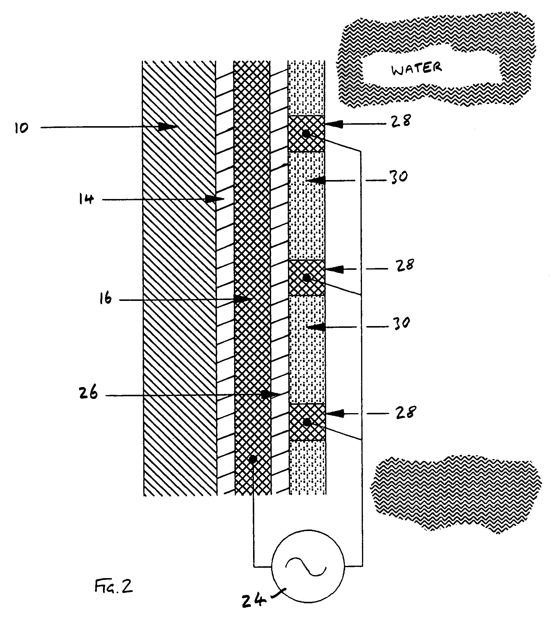 Apparatus for harming or killing fouling flora or fauna and an item carrying the same