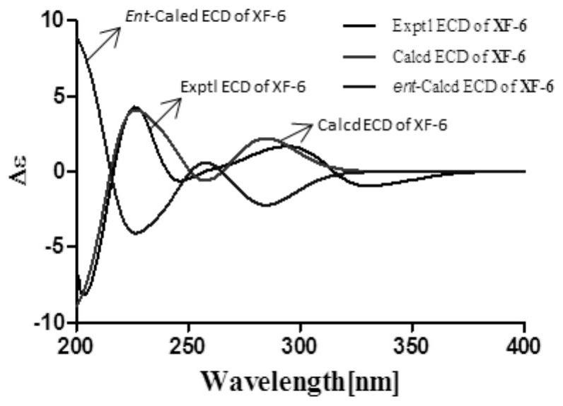 A sesquiterpene lactone compound and its preparation method and its application in the preparation of drugs for preventing and treating nasopharyngeal carcinoma