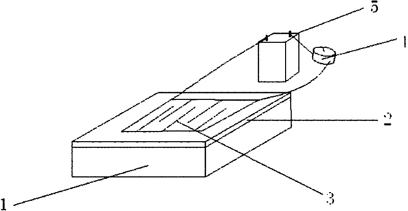 Food-borne pathogenic bacteria detection immuno-sensor and preparation method thereof