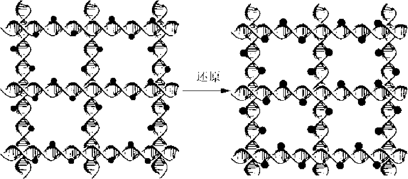 Food-borne pathogenic bacteria detection immuno-sensor and preparation method thereof