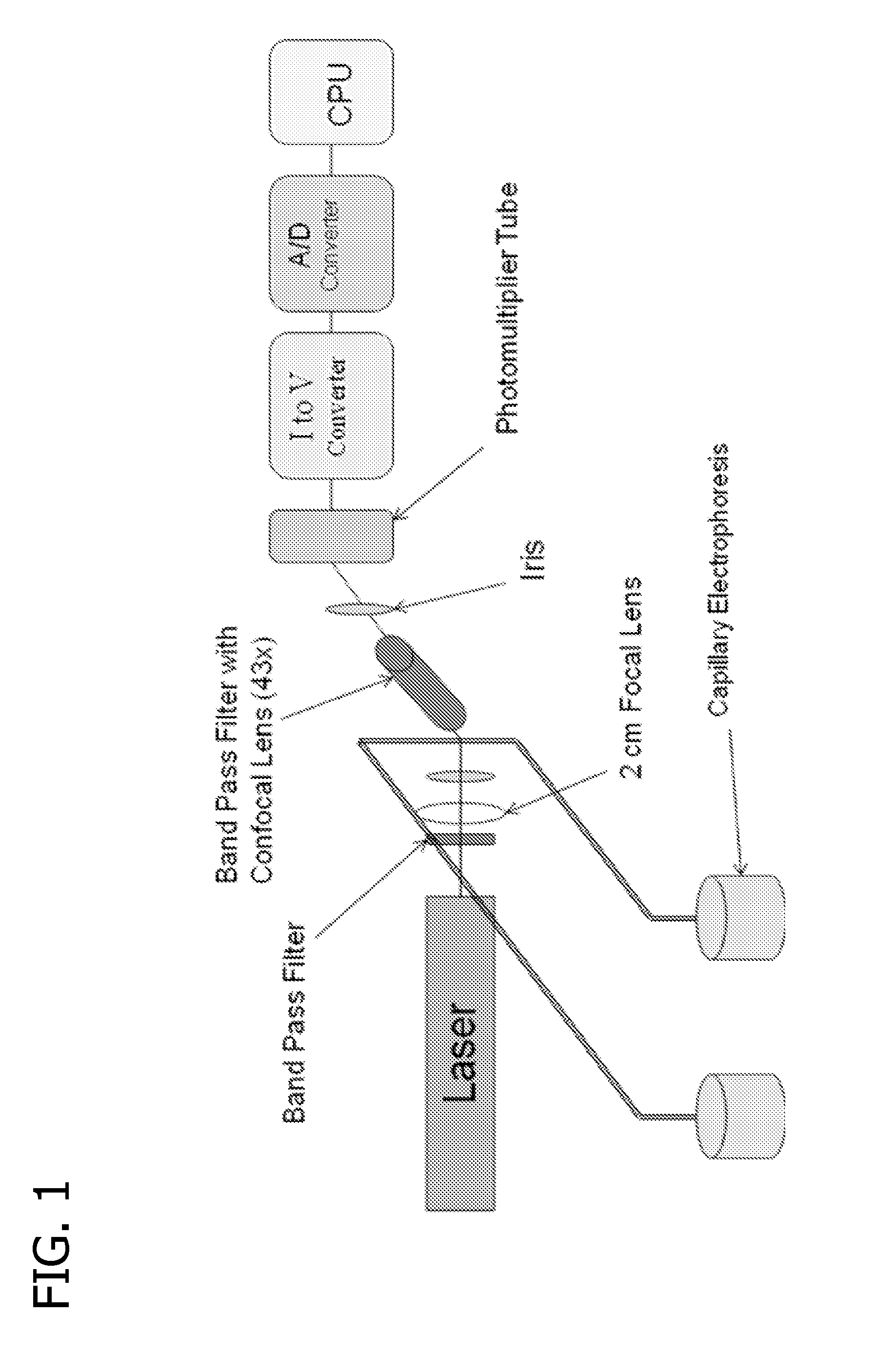 Method and apparatus for cancer screening