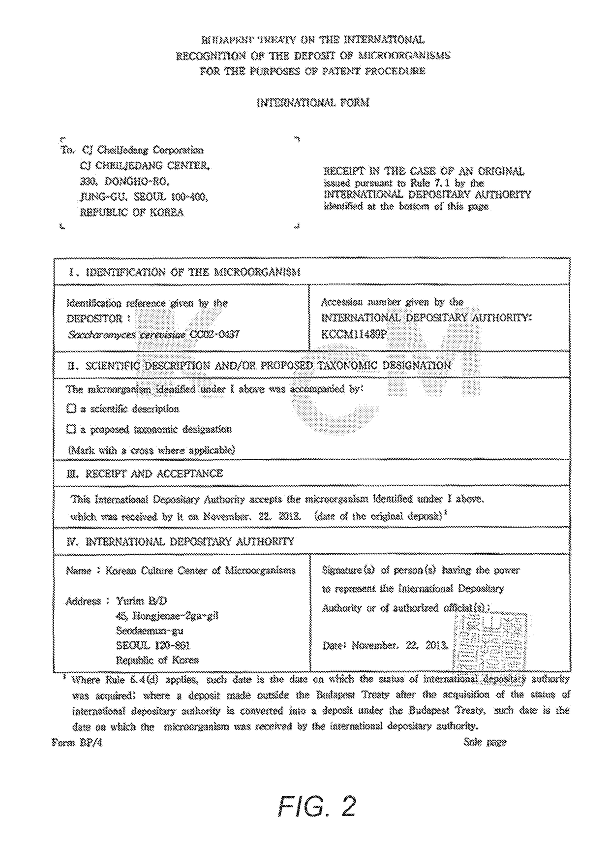 Microorganism having enhanced productivity of lactic acid and a process for producing lactic acid using the same