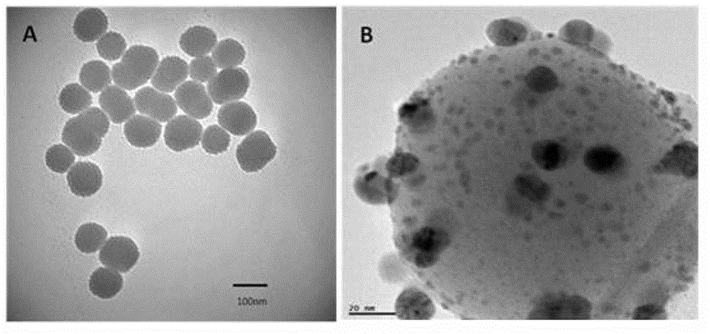 Ultrafiltration membrane with hydrophilism and antibacterial property and preparation method thereof