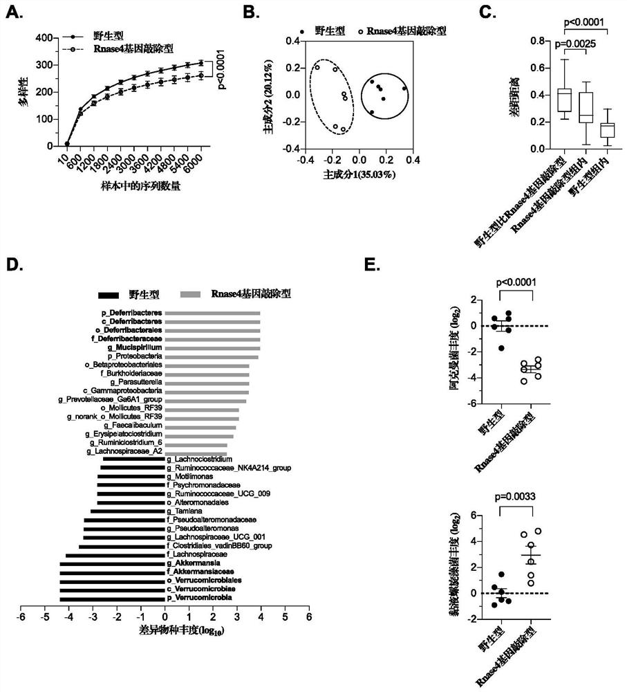 Use of antimicrobial peptides for maintaining abundance of intestinal Akkermansia bacteria