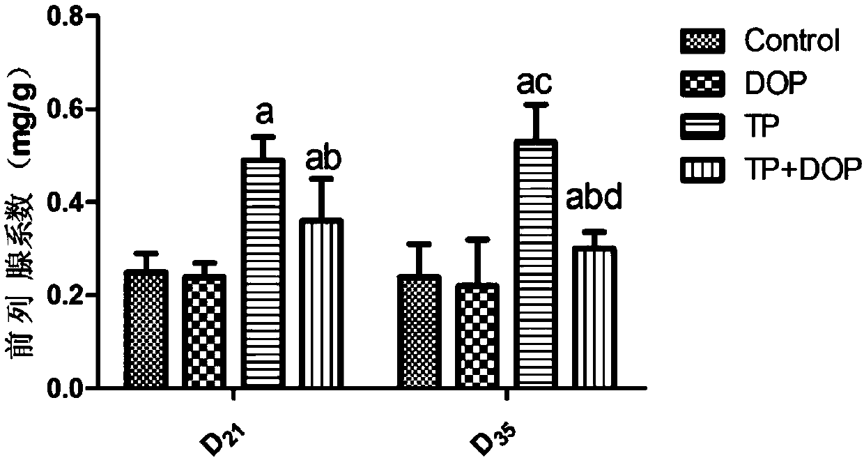 Application of dendrobium polysaccharide in preparation of drugs for prevention and/or treatment of benign prostatic hyperplasia