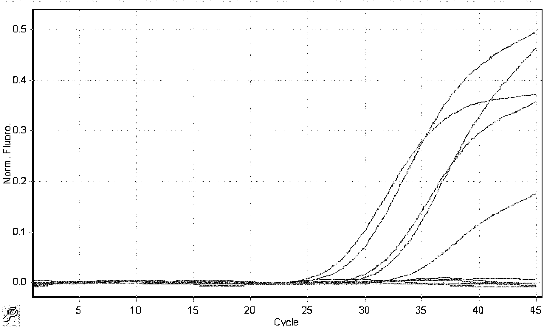 Fluorescent detection kit and detection method for Klebsiellapneumoniae carbapenamase