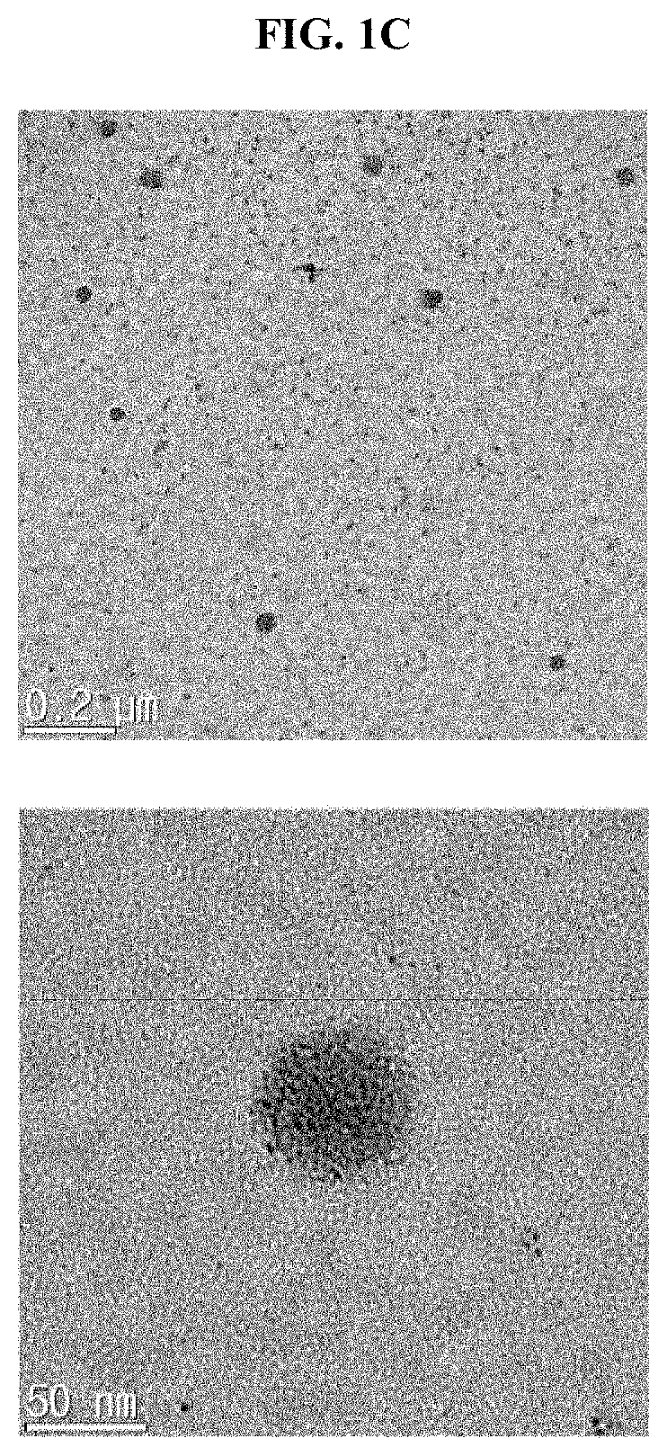 Use of composition comprising stem cell-derived exosome as effective ingredient in strengthening skin barrier and improving skin barrier function