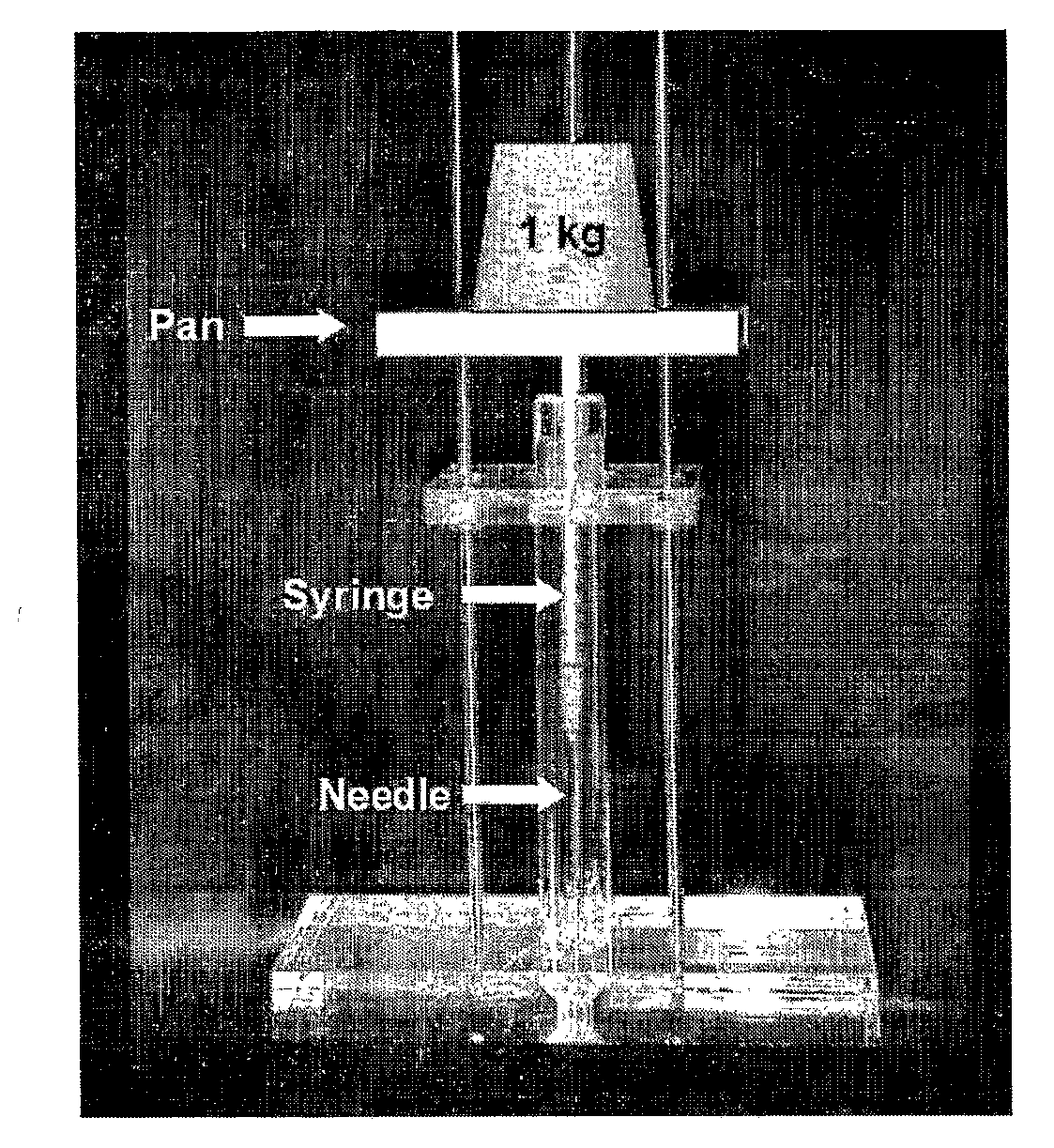 Thermosetting Neutralized Chitosan Composition Forming a Hydrogel, Lyophilizate, and Processes for Producing the Same