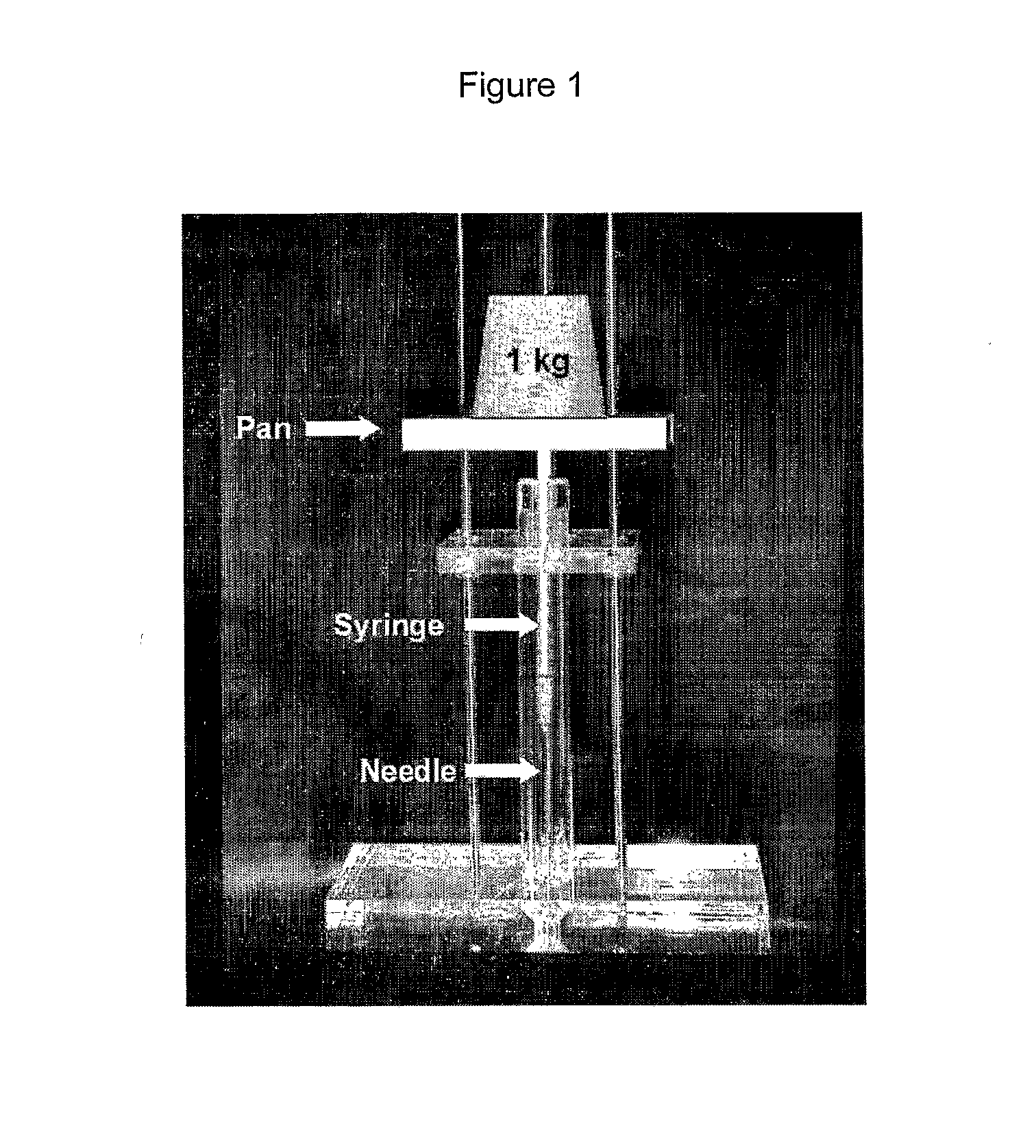 Thermosetting Neutralized Chitosan Composition Forming a Hydrogel, Lyophilizate, and Processes for Producing the Same