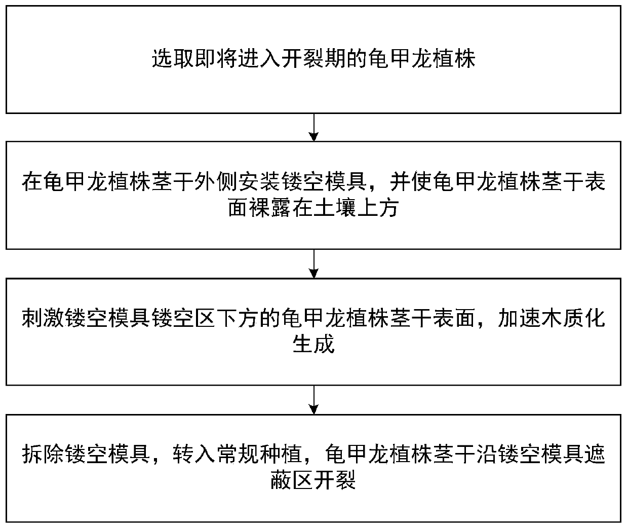 Method and device for controllable cracking of stem of dioscorea elephantipes