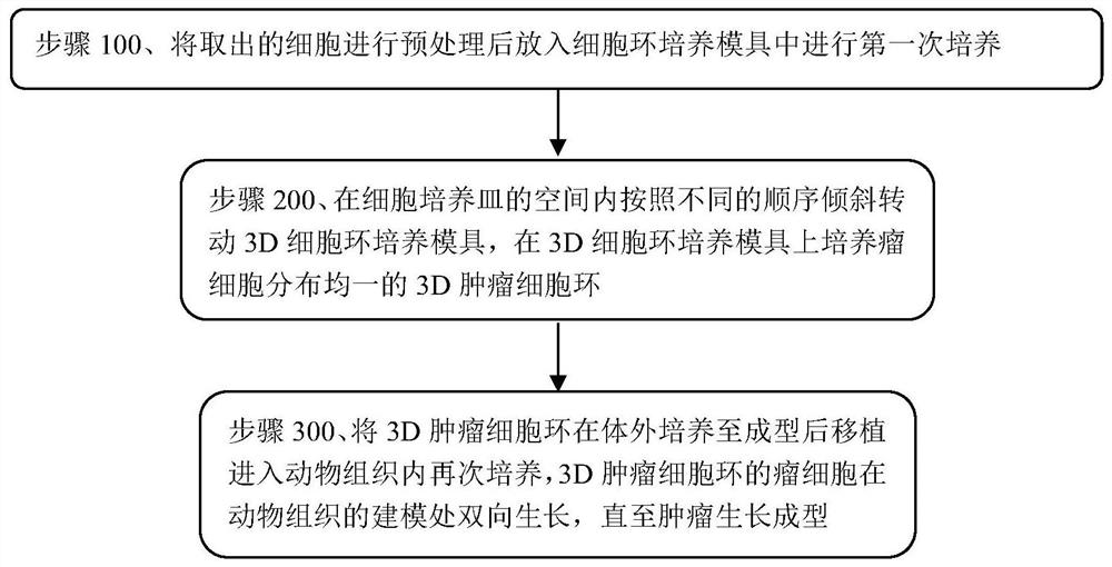 Method for establishing standardized tumor animal model and culture device