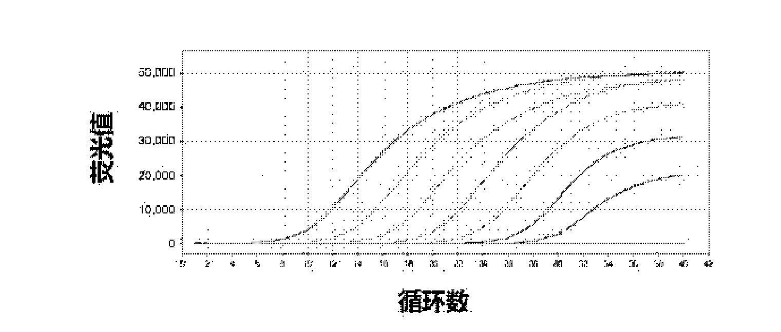 Reagent and method for improving reverse transcriptase performance