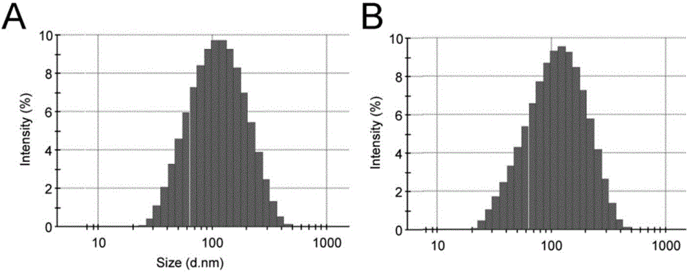 Targeted tumor associated fibroblast liposome drug delivery system