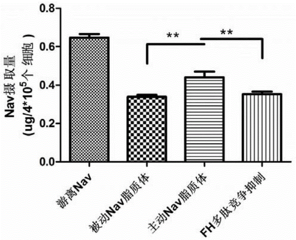 Targeted tumor associated fibroblast liposome drug delivery system