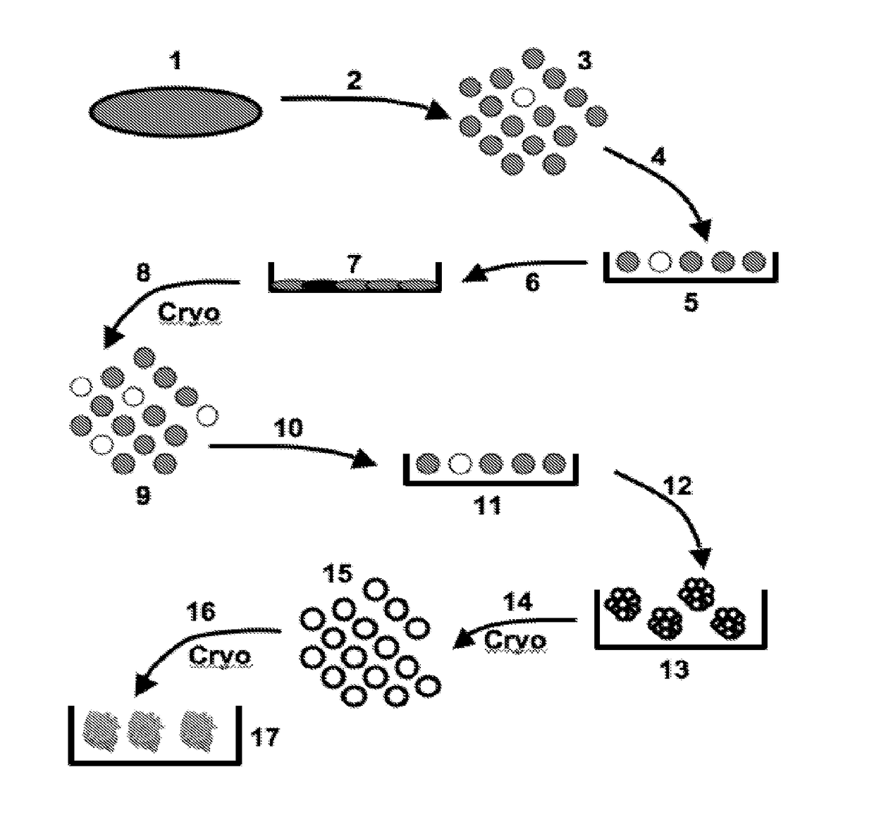 Human disc tissue