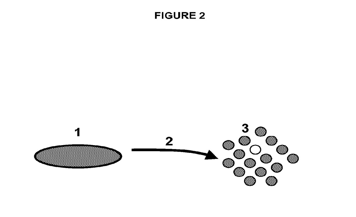 Human disc tissue